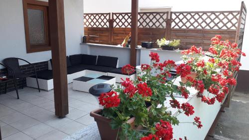 Фотография гостевого дома Idill Apartmanház B&B