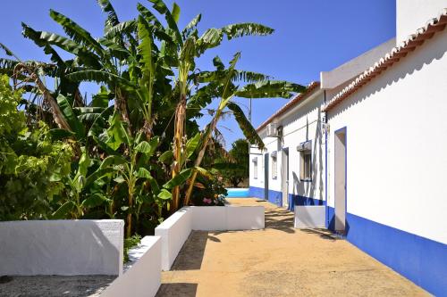 Фотография гостевого дома Monte da Vinha Nova