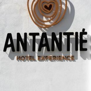 Фотография гостиницы Hotel Antantie