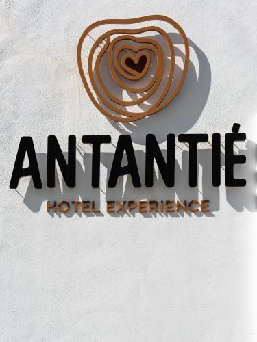 Фотографии гостиницы 
            Hotel Antantie