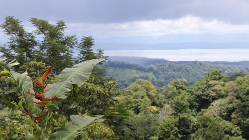 Фотографии гостиницы 
            Finca Sueno de Osa