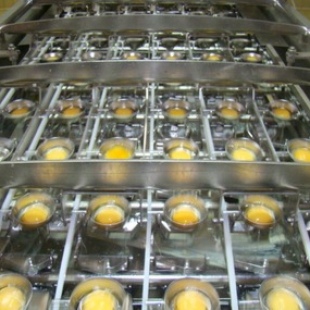 Фотография предприятий Яйцеперерабатывающая фабрика РузОво