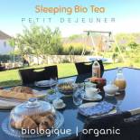 Фотография мини отеля Sleeping Bio Tea