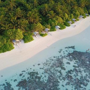 Фотография гостевого дома Plumeria Maldives