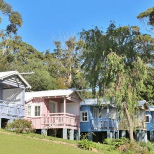 Фотография гостевого дома Cottage 3 Hyams Beach Seaside Cottages