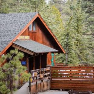 Фотографии базы отдыха 
            Idyllwild Camping Resort Cabin