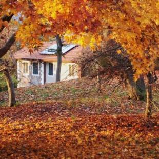 Фотографии хостела 
            La Foresteria di Villa Piazzo