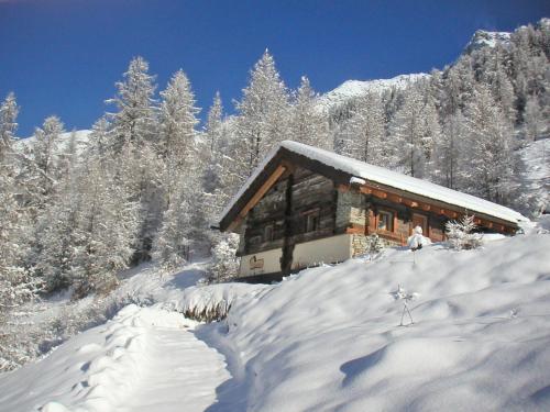 Фотография гостевого дома Chalet Epilobes