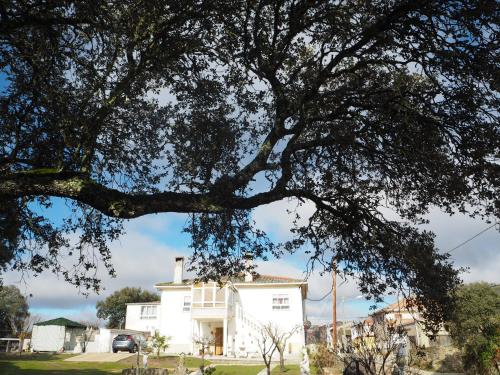 Фотография гостевого дома Villa Entre Encinas