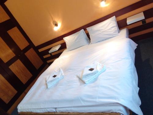 Фотография гостевого дома Penzion SOLA-FIDE