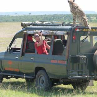 Фотографии базы отдыха 
            Fig Tree Camp - Maasai Mara