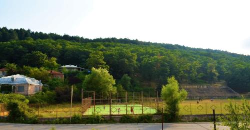 Фотография гостевого дома Surami Resort