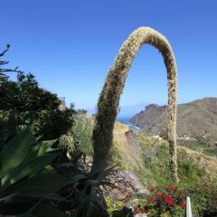 Фотографии гостевого дома 
            Casa Vista Teide