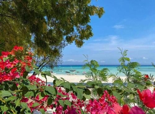 Фотографии гостиницы 
            Bella Vista Resort Zanzibar
