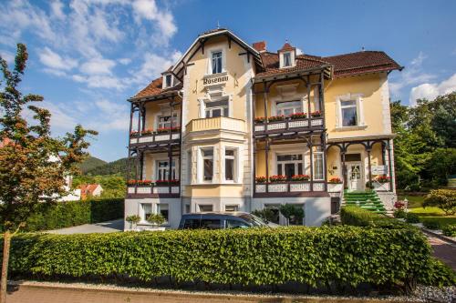 Фотографии гостиницы 
            Hotel Rosenau