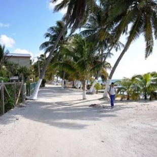 Фотография гостевого дома Caribbean Sunrise Cottage