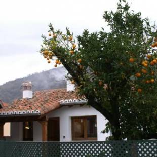 Фотографии гостевого дома 
            El Naranjo