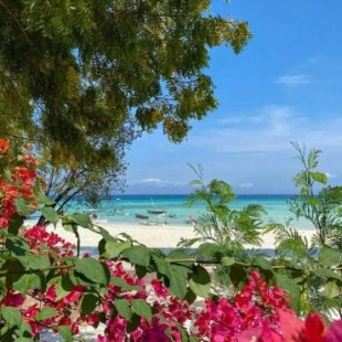 Фотография гостиницы Bella Vista Resort Zanzibar