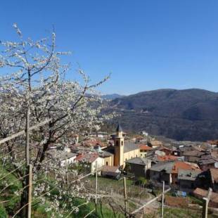 Фотографии мини отеля 
            B&B San Valentino