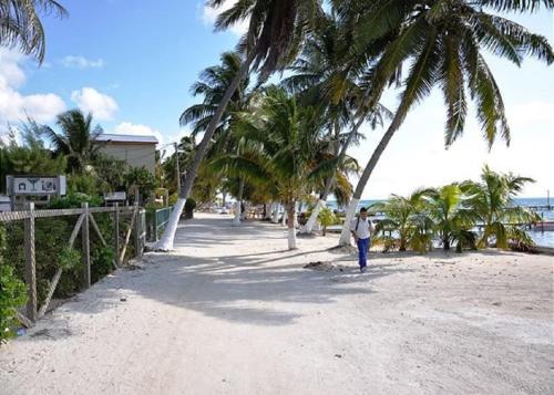 Фотографии гостевого дома 
            Caribbean Sunrise Cottage