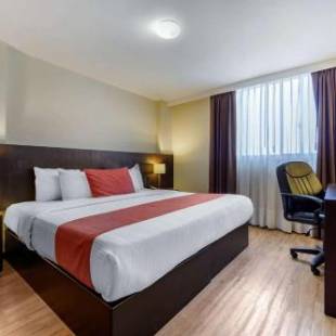 Фотографии гостиницы 
            Comfort Inn San Luis Potosi