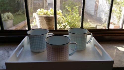 Фотография мини отеля Dragonfly B&B