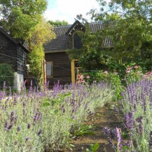 Фотографии гостевого дома 
            Authentic Mansion in Deil near Lake