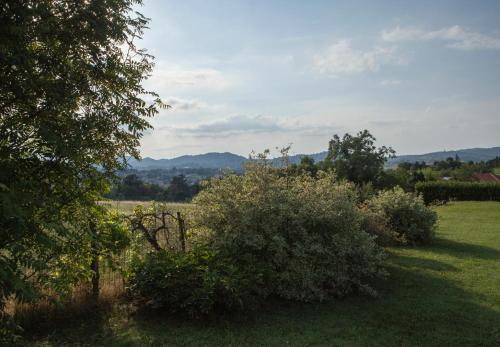 Фотография мини отеля B&B Puntodivista