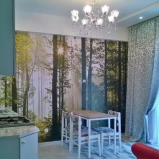 Фотография гостиницы apartament