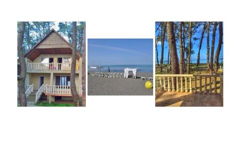 Фотография гостевого дома Beach View House