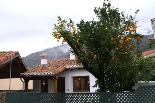 Фотография гостевого дома El Naranjo