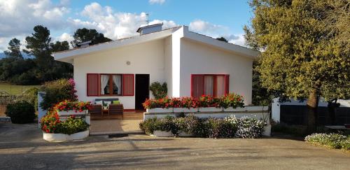 Фотография гостевого дома Finca Sa Cova de Mallorca