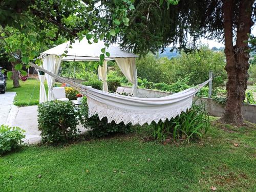 Фотография гостевого дома Casa do Avô Manuel