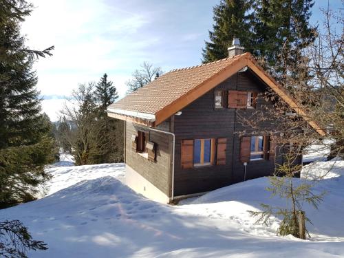 Фотографии гостевого дома 
            Chalet Chalet de la Vue des Alpes