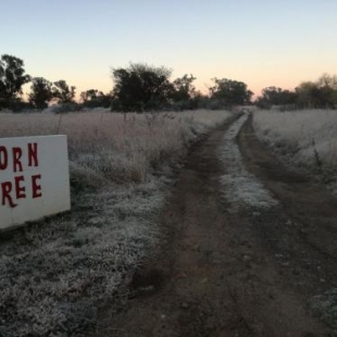 Фотография мини отеля Thorn Tree Bloemfontein