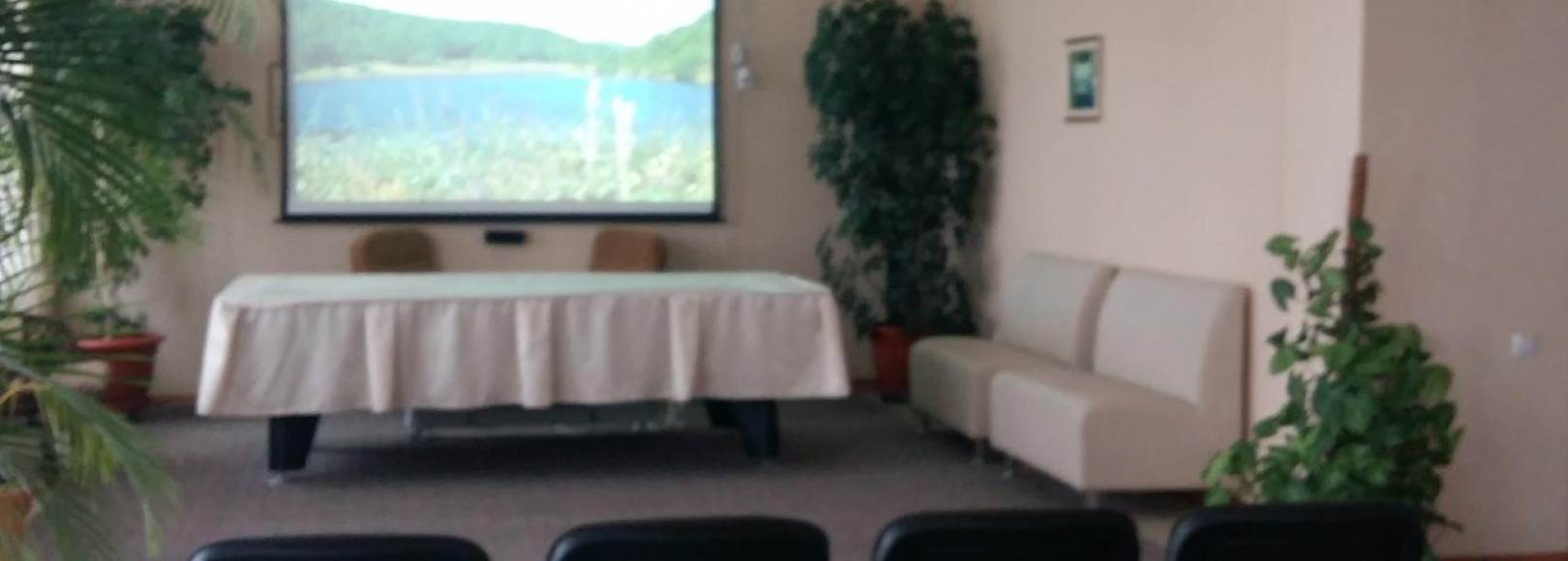 Фотография конференц-зала Большой