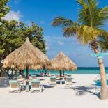 Фотография гостиницы Boardwalk Boutique Hotel Aruba