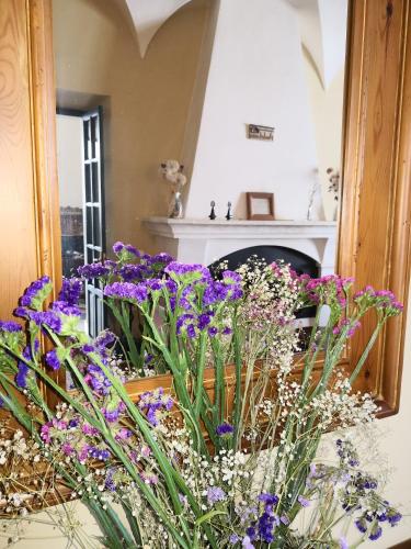 Фотография гостевого дома Hotel Casa Tinoco