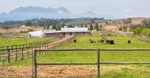 Фотография гостевого дома Galloway Guest House