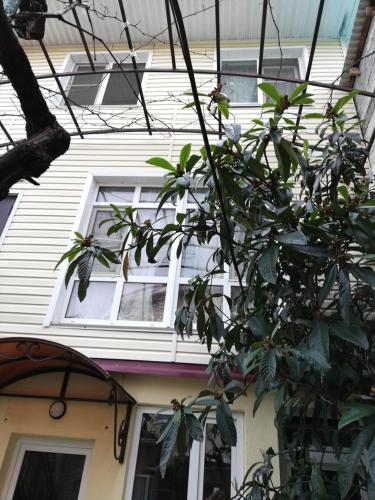 Фотография гостевого дома Зорка