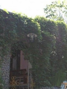 Фотография базы отдыха Дельфин Витязь