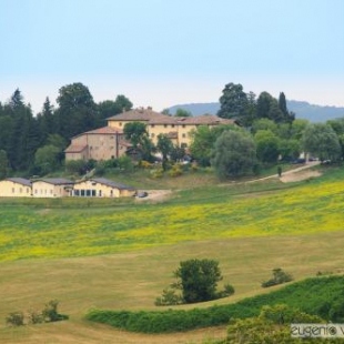 Фотография гостиницы Palazzo Loup Hotel