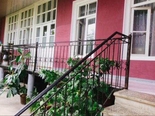 Фотография гостевого дома Classic hospitality house