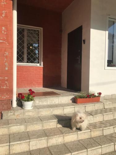 Фотография хостела Manna Kasha