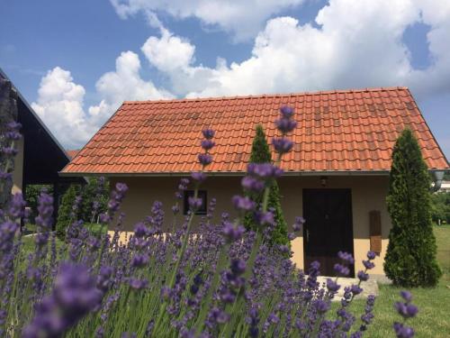 Фотография гостевого дома Garden 022