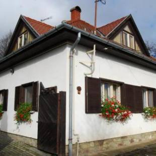 Фотографии гостевого дома 
            Boróka Apartmanházak - Fagyöngy House