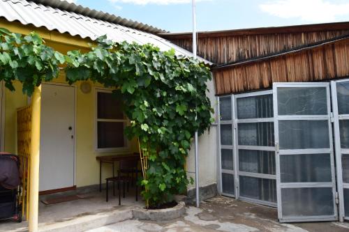 Фотография гостевого дома Ого