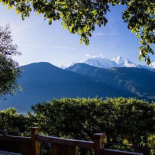 Фотографии гостевого дома 
            Les Greniers du Mont Blanc