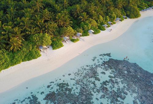 Фотографии гостевого дома 
            Plumeria Maldives