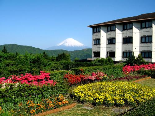 Фотография гостиницы Hotel Green Plaza Hakone